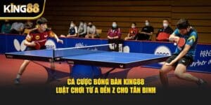 cá cược bóng bàn 1