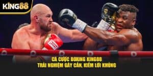 cá cược boxing 1