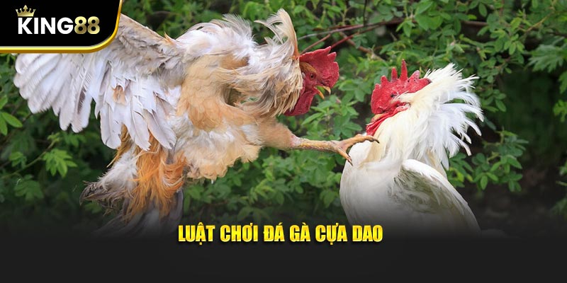 đá gà cựa dao