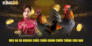 mẹo đá gà 1